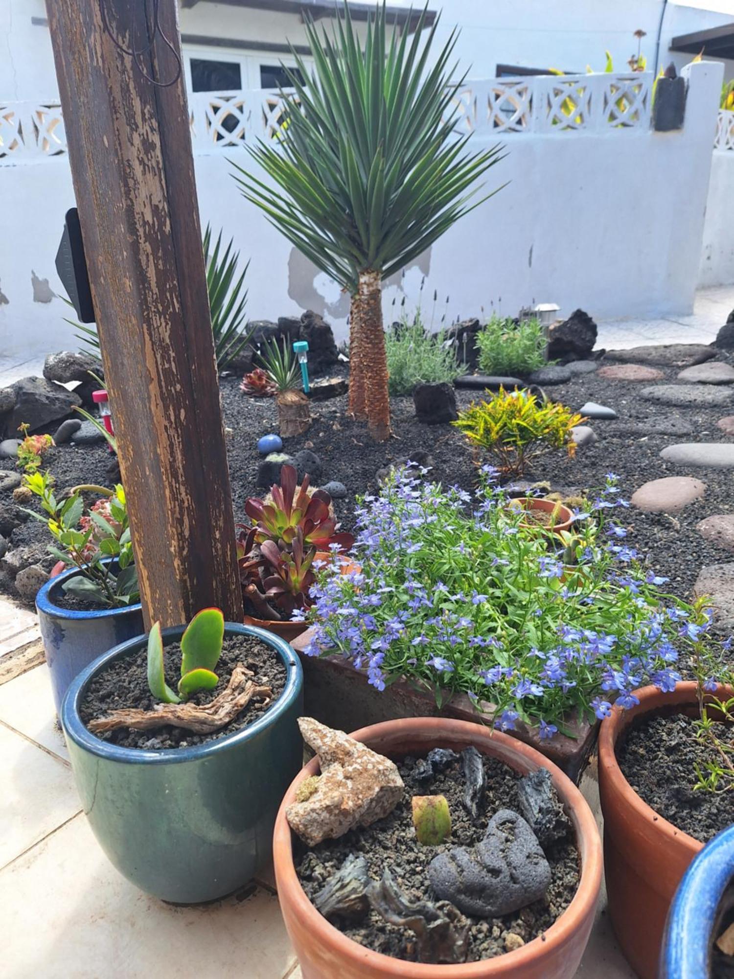 فيلا Casita Pequena Lanzarote تيغيسي المظهر الخارجي الصورة